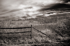 The Coming Storm